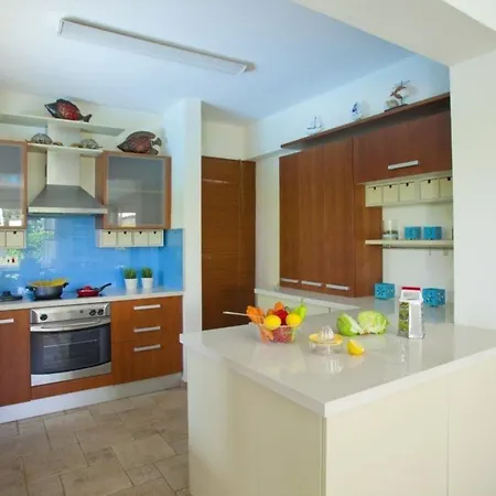 Villa Skyros 200 Metres From The Beach Viilas 126 *